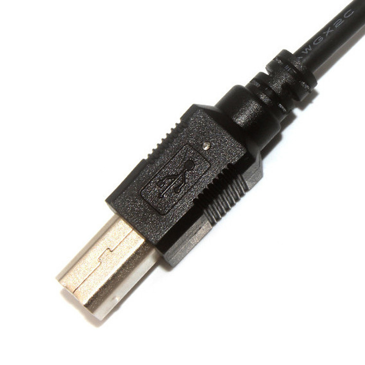 10 Pin 30 AWG 2.54mm Pitch Molex Cable ensamblaje de 150mm longitud Molex 22-55-2101
