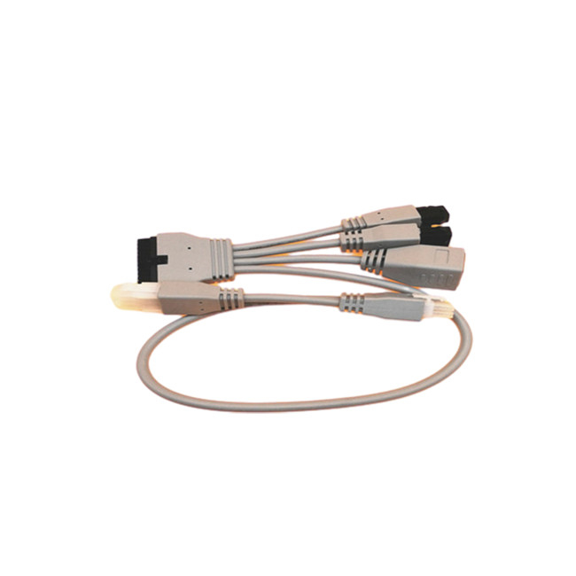 Asambleas de cable de encargo de Molex43025-2400 3.0m m a Pin femenino 6 del zócalo RJ45 Molex 4.2m m