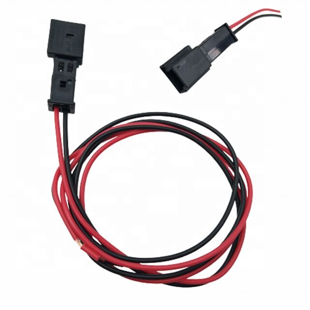 Custom Wire Harness with 2.54mm Pitch and 500V Rated for Electronic Applications in Customizable Lengths
